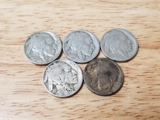 Lot of 5 Buffalo Nickels