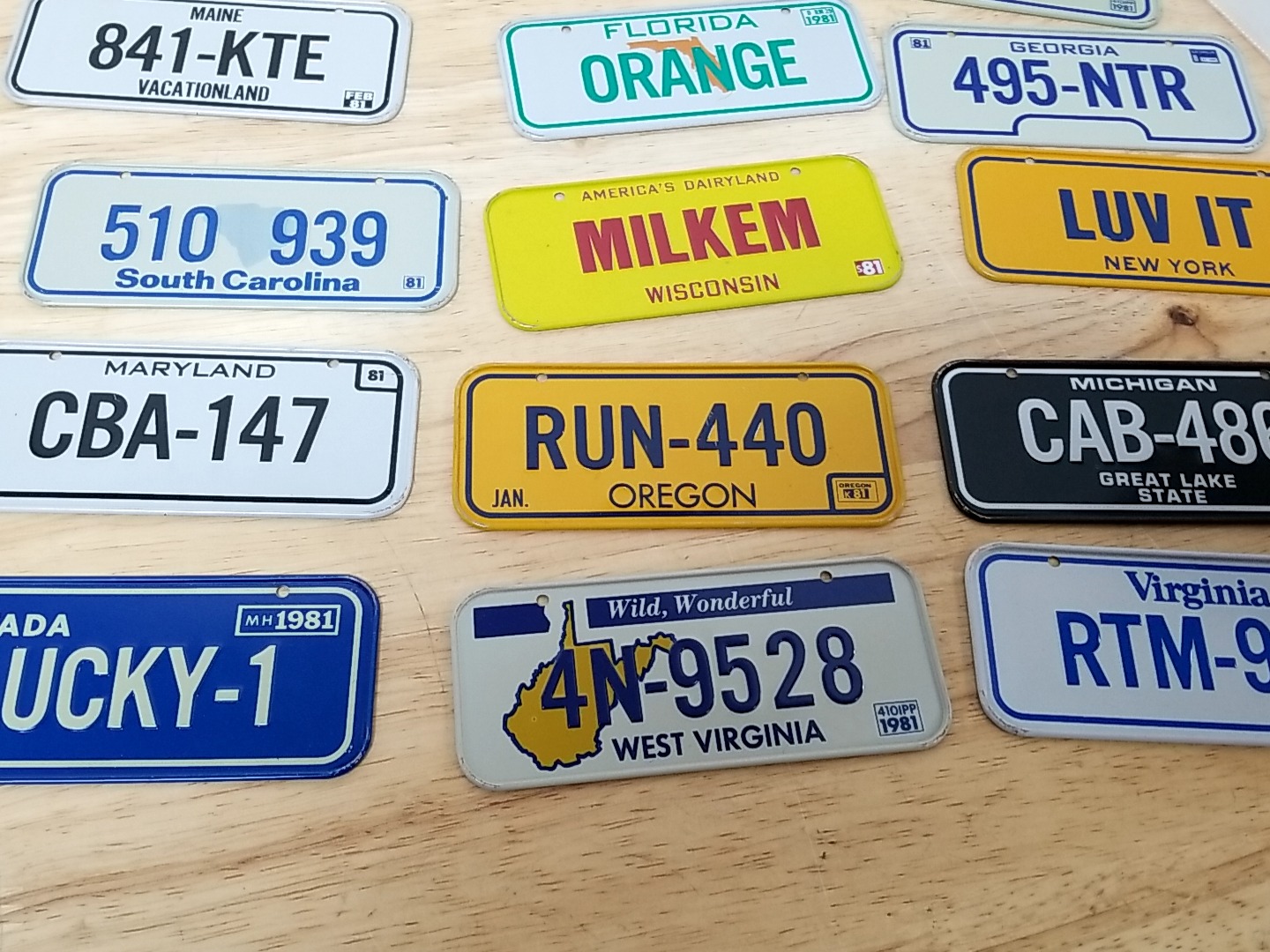 #81 - Assorted Vanity License Plates, 6 in ea. | BidItBob