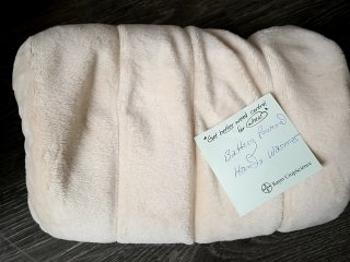 Electric Powered Hand Warmer