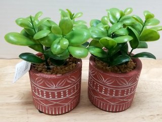 New Pair of Faux Succulents