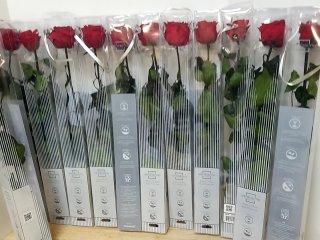 New Lot of Preserved Red Roses