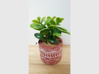 New Faux Succulent in Pot 6 inch tall 