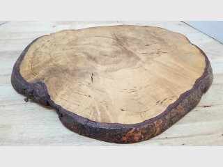 Rustic Wooden Tree Slice