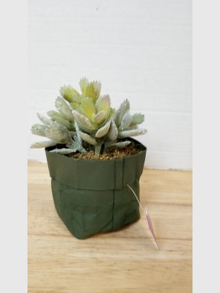 Faux Succulent in Green Basket 6 inch 