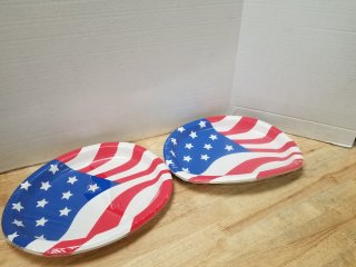 Disposable plates, 10 by 8 inch, 16 total 