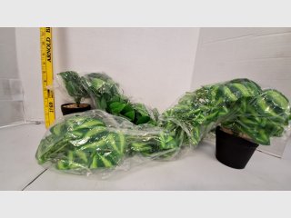 Artificial Pothos Plants in Pots