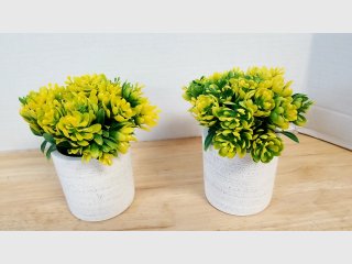 Yellow Faux Succulent Plants in Pots 6 inch