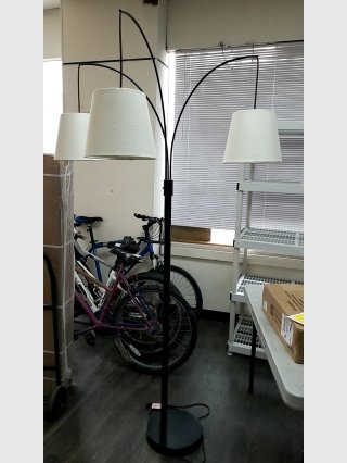 Triple Arc Floor Lamp