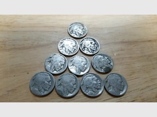 Buffalo Nickels Lot (10 Coins)