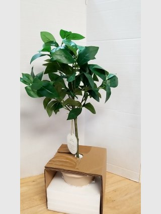 New New Faux Ficus Tree in Pot, 25 inch