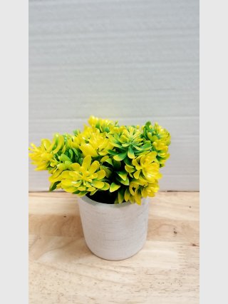 New Yellow Artificial Succulent in Pot 6 inch