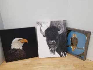 Wildlife wall hangings
