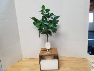 New faux mini tree, 25 inch tall 