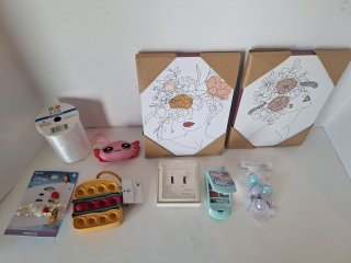 Jewelry, pictures, water bottle pouch, misc 