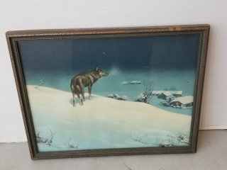 Lone Wolf 14 by 11 inch
