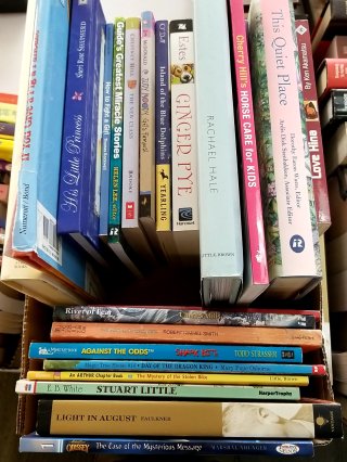 Box of Used Children\'s Books