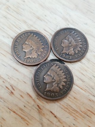 Three 1900s Indian Head Pennies