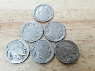 Buffalo Nickel Coins