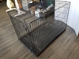PETS