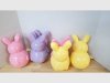 Item #860 — Colorful Bunny containers, each 10 inch