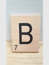 Item #207 — New Wall hanging,  6x8 in
