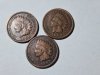 Item #105 — 1906, 1904, 1902 Indian Head pennies