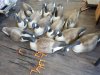 Item #133 — 2 goose shell decoys