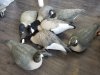 Item #98 — 7 big foot shell decoys