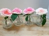 Item #382 — New Four Pink-White Roses in Glass Vases, 6 in