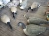 Item #78 — 6 big foot shell goose decoys