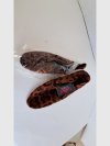 Item #646 — Ladies Leopard Slip-On Shoes, size 8