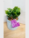 Item #490 — Potted Succulent Decor