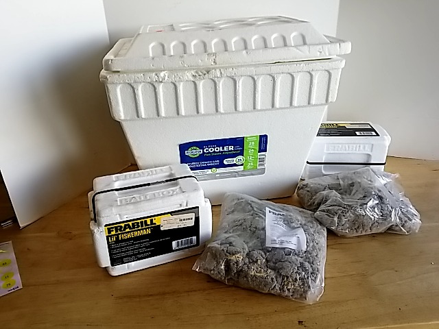 Item #503 — Styrofoam coolers with bait photo 1 of 4