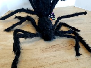 Item #306 — Large Black Plush Spider Decoration photo 3 of 3