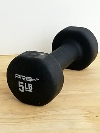 Item #130 — 5 lb Black Dumbbell