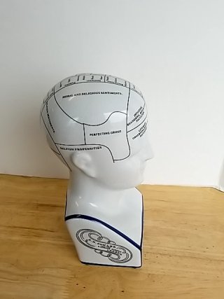 Item #70 — Phrenology Head Fowler Bust, 12 inch, exc cond photo 4 of 5