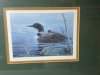 Item #101 — Loon Family framed print, signed by Luke Raffin, 16x14 inch photo 2 of 5