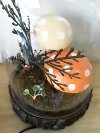 Item #151 — New Mushroom cloche table decor 9 in photo 2 of 4