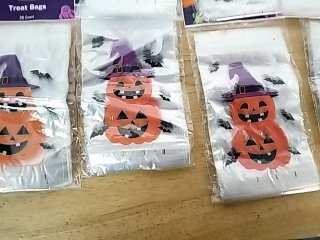 Item #198 — New Halloween Treat Bags photo 2 of 3