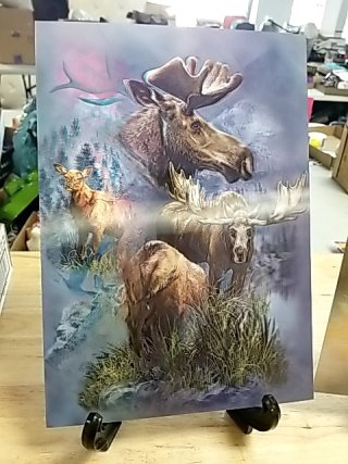 Item #241 — Two Elk Portrait Metal Prints Holo, 12 in photo 3 of 3