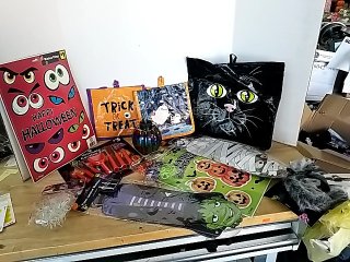Item #184 — New Halloween Decorations & Party Supplies photo 1 of 6