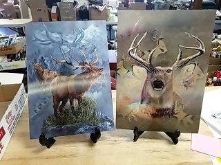 Item #241 — Two Elk Portrait Metal Prints Holo, 12 in photo 1 of 3