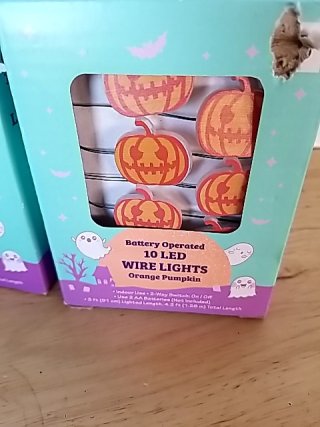 Item #339 — New Ghost & Pumpkin LED String Lights photo 2 of 3