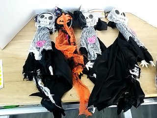 Item #182 — New Halloween Skeleton Decorations photo 1 of 4