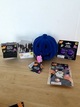 Item #431 — New Halloween LED Light Set & Pumpkin photo 1 of 5