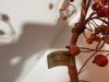 Item #297 — Autumn Berry Wreath, 5 ft photo 4 of 4