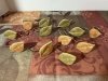 Item #303 — Cloth shower curtian 72 x 72 inch with matching Leaf Curtian Rings photo 2 of 3
