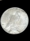 Item #39 — 1923 S Peace Dollar Silver dollar photo 2 of 2