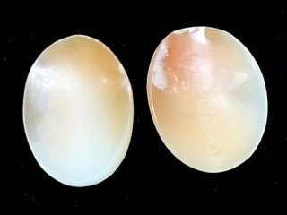 Item #53 — Pair of Cameo Carved Shells 1 in, shell photo 2 of 2