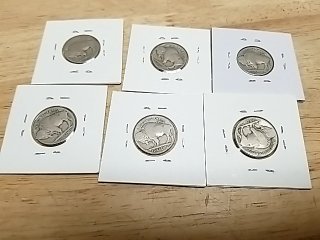 Item #93 — 6 Buffalo Nickels in Holders photo 6 of 6